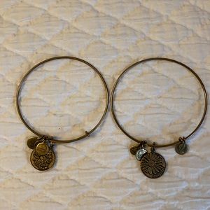 Alex and Ani Bracelet 2